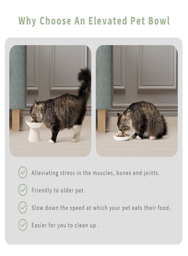 CEEFU 2 Elevated Ceramic Cat Bowls Extra Wide for Food & Water – Whisker Fatigue Shallow Food Dish, Lead & Cadmium-Free, Raised Height for Cats and Dogs, Two Different Depth Bowls, White - Image 5