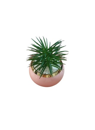 "An elegant, circular decorative vase made of rose ceramic with a shiny gold finish on top. It features a green faux succulent plant surrounded by white pebbles, adding a touch of sophistication and tranquility to any office or corner of the home. " - pzsku/Z9D078C25673E3796349BZ/45/1750344471/2c36842a-f3ff-4923-a711-c42d88780f06
