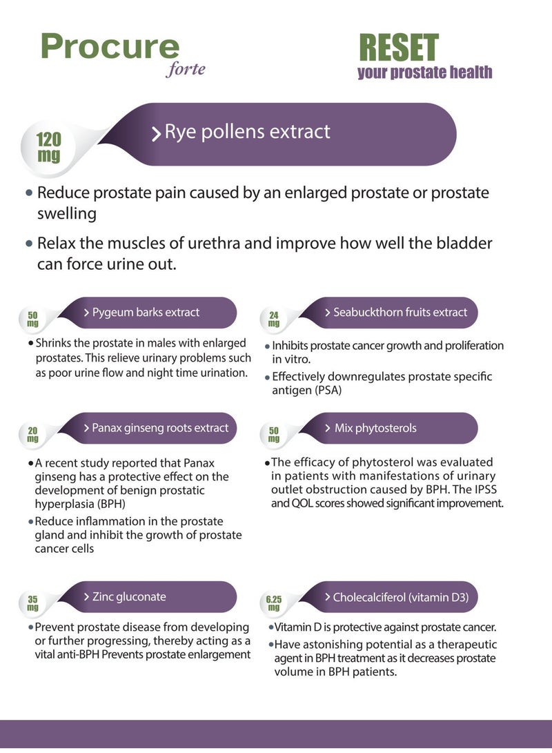 PROCURE  forte Procure Forte Prostate Support Capsules – Saw Palmetto & Phytosterols – Supports Urinary Flow & Prostate Health - Image 5