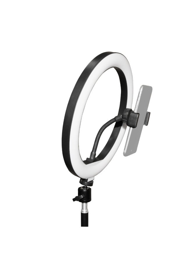 Loquat Caleo Live Ring Light Beauty Online Celebrity Live Led Light Anchor Desktop Bracket Light Accessories-Color:6 Inch Ring Light - Image 4