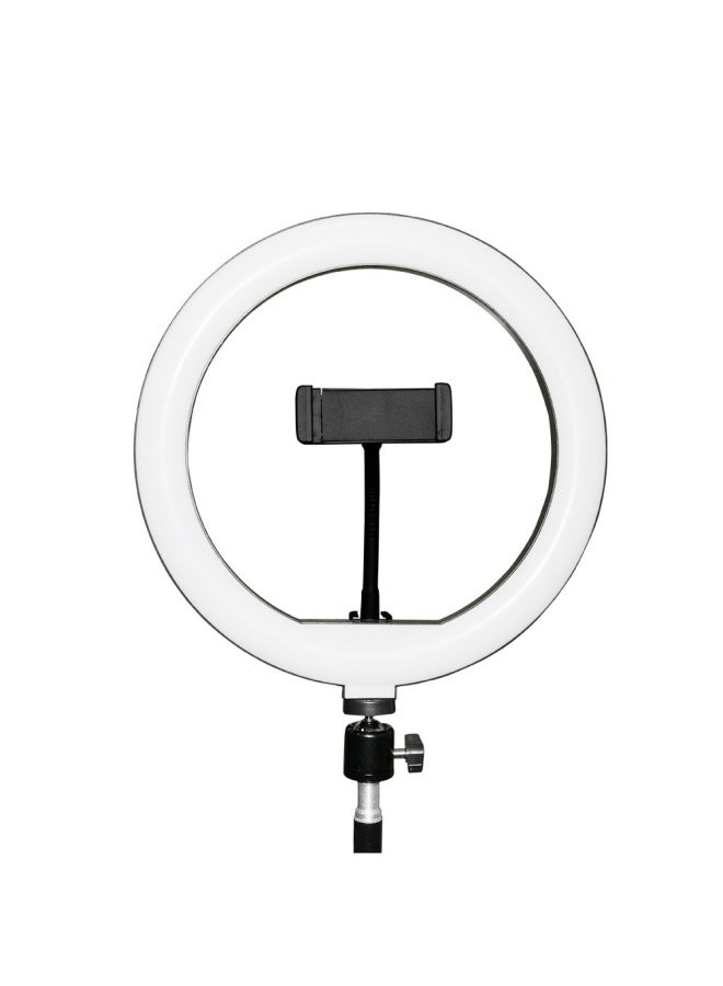 Loquat Caleo Live Ring Light Beauty Online Celebrity Live Led Light Anchor Desktop Bracket Light Accessories-Color:6 Inch Ring Light - Image 2