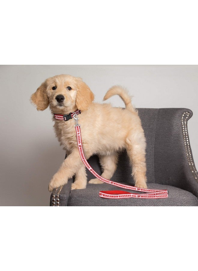 Pets First NCAA PET Leash, Large, Wisconsin Badgers, Shiny & Colorful Leash for Dogs & Cats Licensed by The NCAA - Image 3