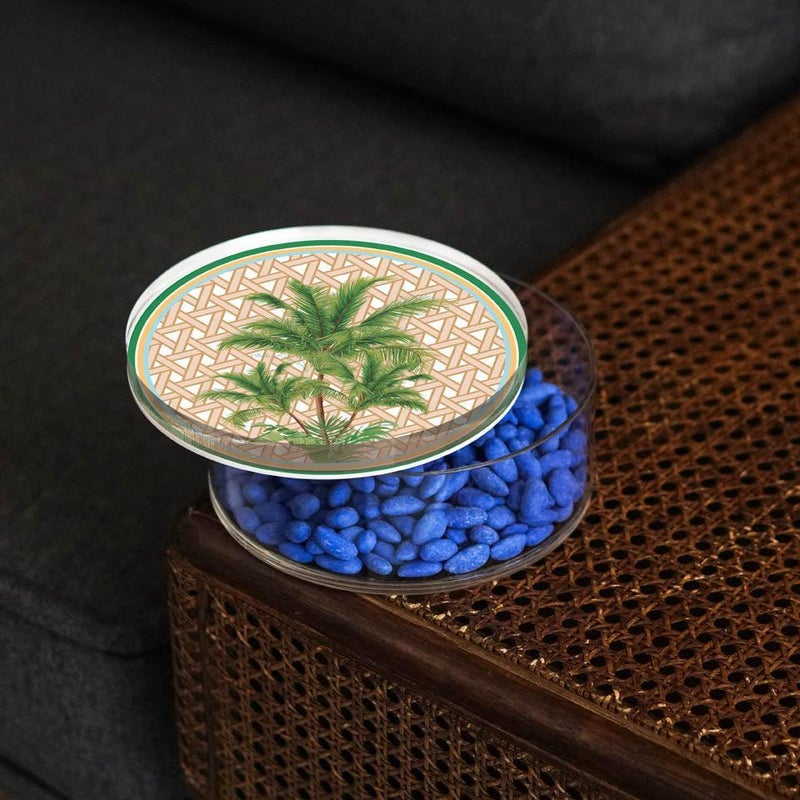 VITELLI DESIGN STUDIO Hazeran Palm 12 Cm Acrylic Jar - Image 2