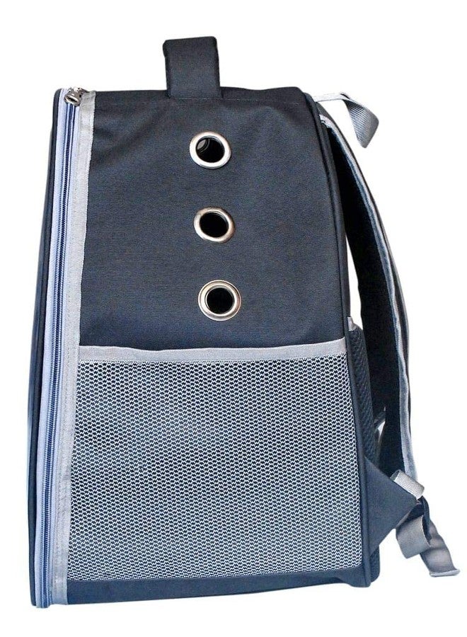 Risan Pets Pet Backpack Transparent Cat & Small Dog Puppy Kitty Shihtzu Carriers for Breathable Airline Travel Approved Air Ventilation Backpack Size 17 × 13 × 11 inch(Black) - Image 5