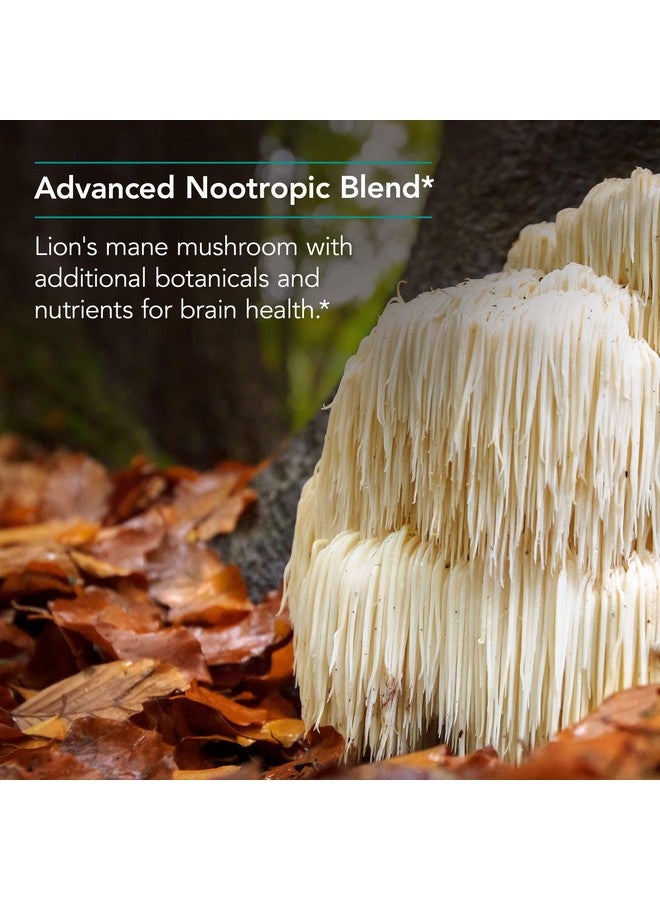 Allergy Research Group مكمل نوتري كولوجي كوجنيبراين - دعم الذاكرة والتركيز لصحة وظائف الدماغ مع فطر الأسد، كبسولات نباتية - 90 عدّ - Image 4