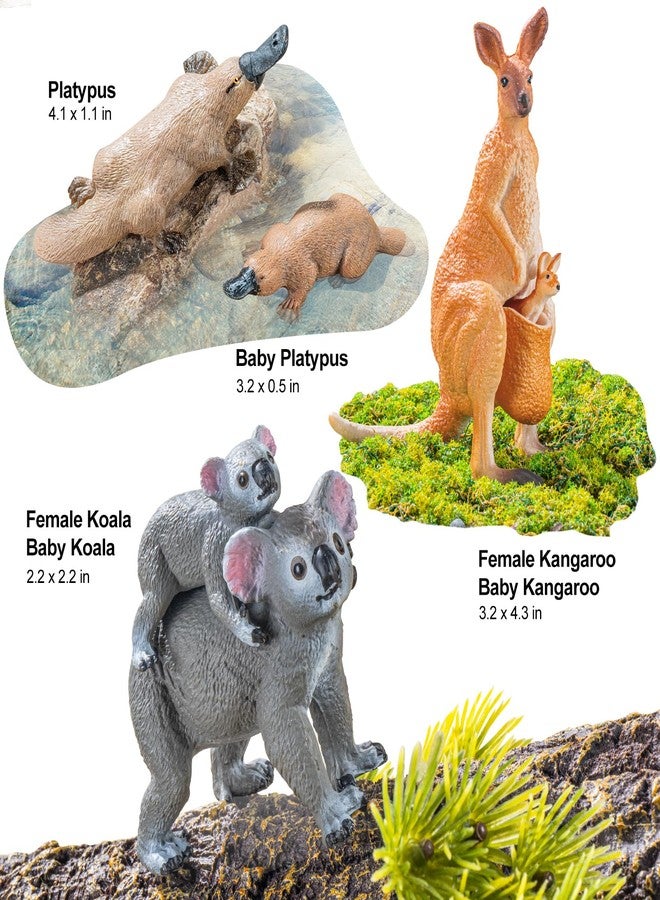 THINKBAY 6PCS Australian Animal Figurines Family Toys for Kids, Zoo Safari Animal Figure, Includes Koala,Kangaroo,Platypus Figures with Cubs, Birthday Gift Party Favors Cake Toppers for Boy Girl - Image 3