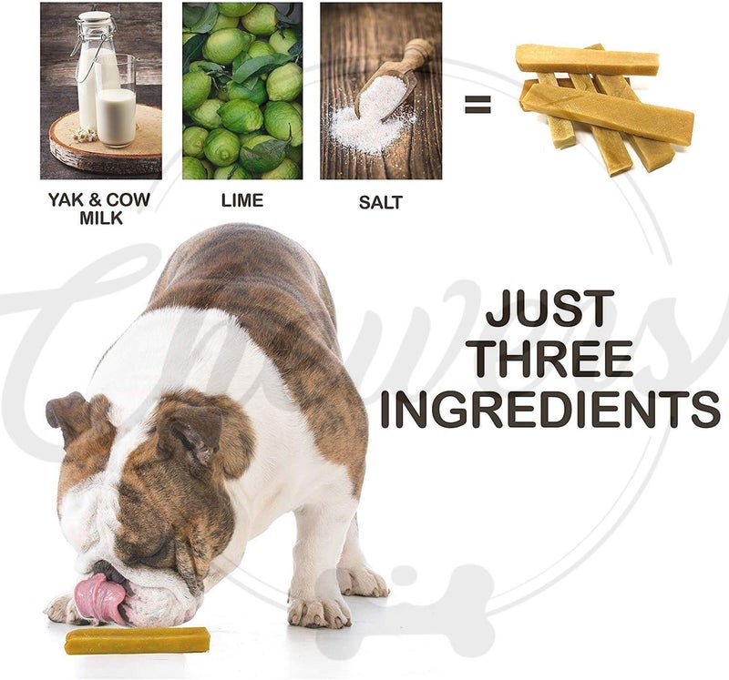 chewers Mountain Dog Chew, 100% Natural Himalayan Yak Milk Dental Bar, Protein & Calcium Rich Treat for Medium Dogs, 200 GMS - Image 4