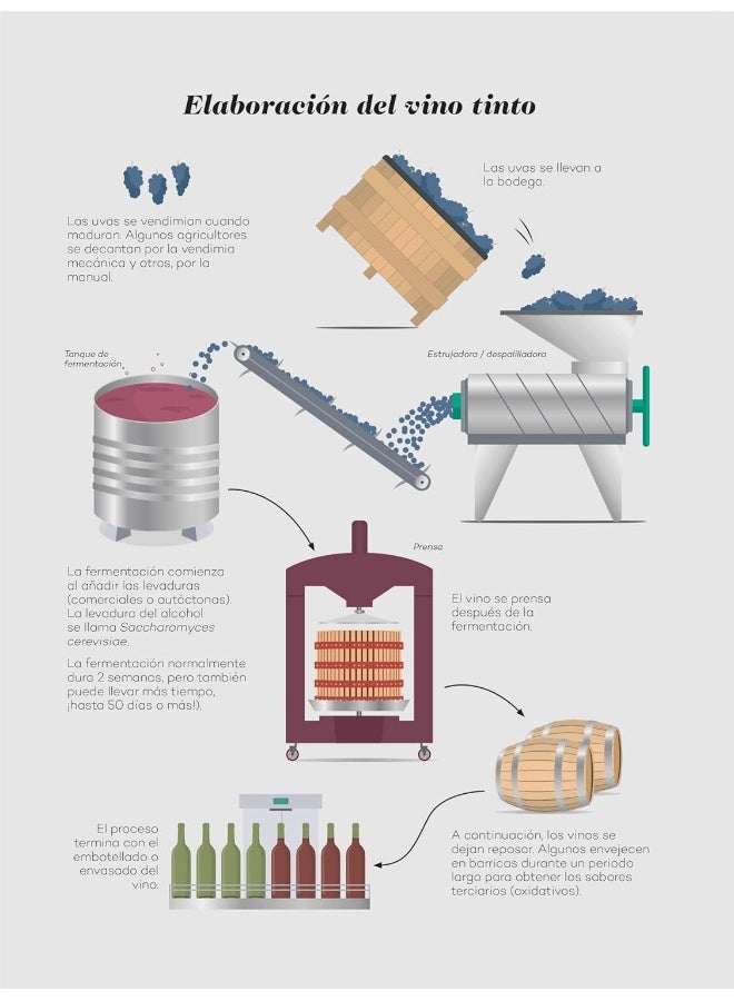 Wine Folly: Edición Magnum: La guía maestra del vino - Image 4