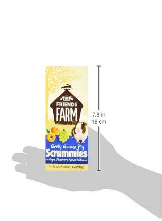 Tiny Friends Farm Supreme Gerty Scrummies Apple Strawberry Healthy Baked Bites For Guinea Pig 4.2Z - Image 1