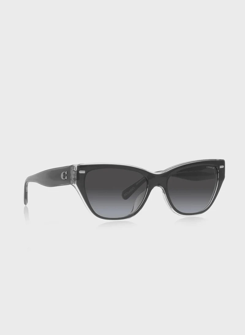 COACH 0Hc8370U Cateye Sunglasses