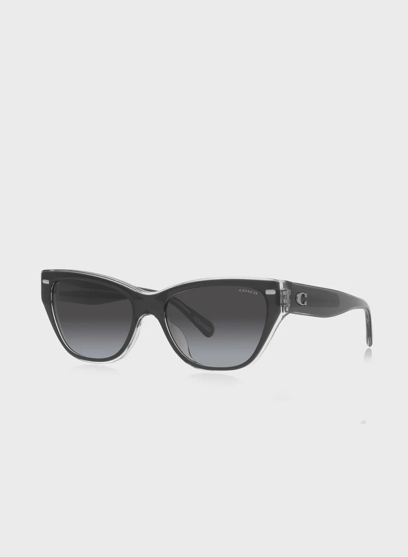 COACH 0Hc8370U Cateye Sunglasses