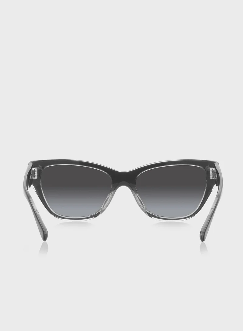 COACH 0Hc8370U Cateye Sunglasses
