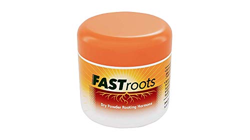 DIVINE TREE FASTROOT Rooting Hormone Powder for Plants Cuttings (100g) – Root Booster for Soft, Semi & Hardwood | Rooting Powder for Propagation, Grafting, Cloning, and Transplant Success - Image 2