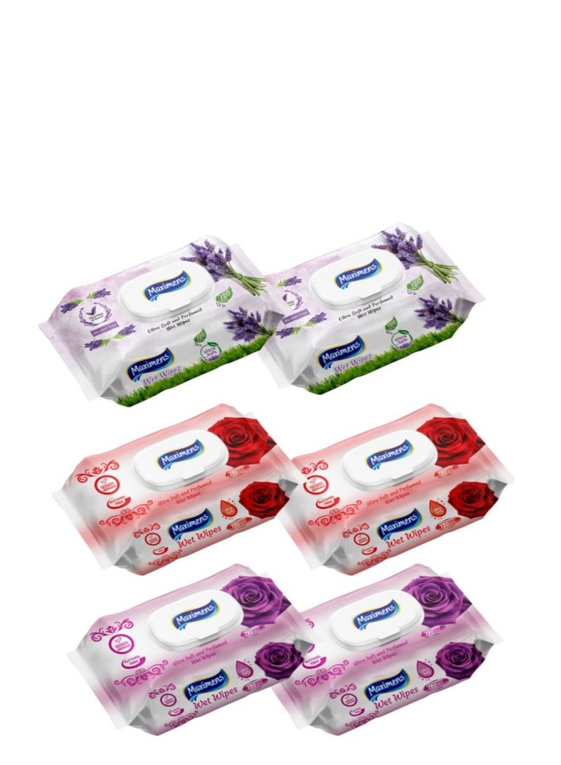 Wet wipes 6 packs of 120 pieces