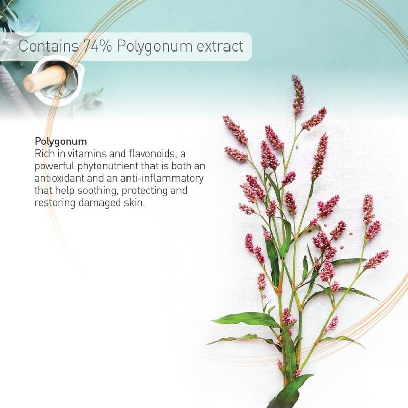 Moraz Pregnancy Body Lotion 5.1oz | Rich in Herbal Extracts & Natural Oils - Image 3