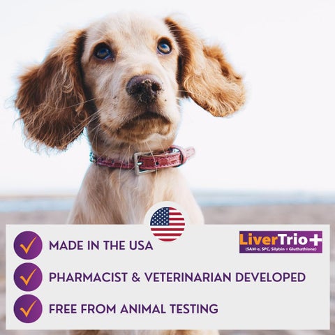 terra liposomal glutathione PAW