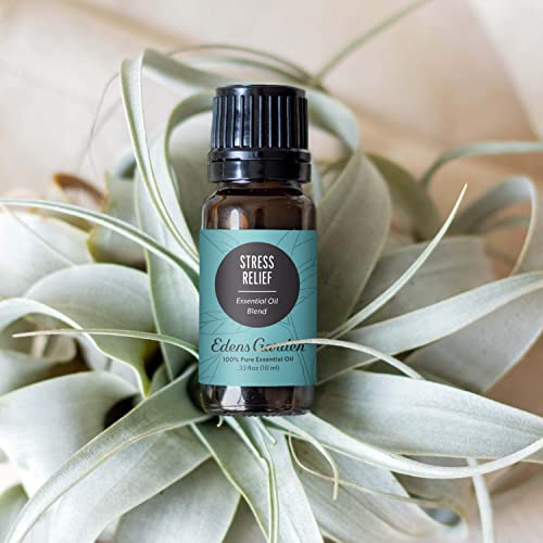 Edens Garden Stress Relief Essential Oil Blend- 100% Pure Premium Grade, Undiluted, Natural, Therapeutic, Aromatherapy, The Best for Diffusing, Skin, Candle, Humidifiers 10 ml (.33 fl oz) - Image 2