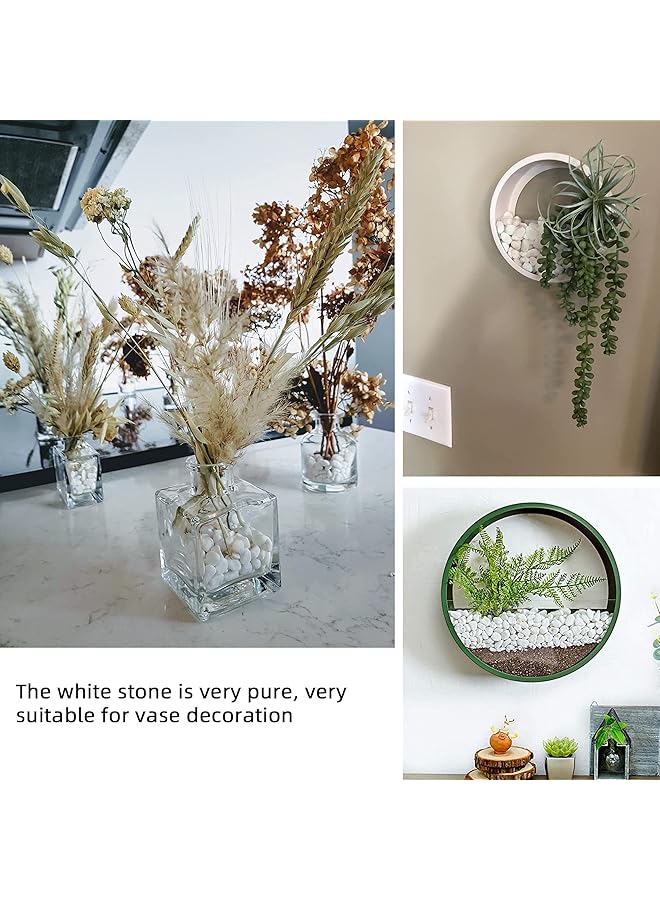 erorex White Pebbles For Plants Garden Vases 1.8Lb White Rocks Gravel Decorative Stone 1 2”…… - Image 4