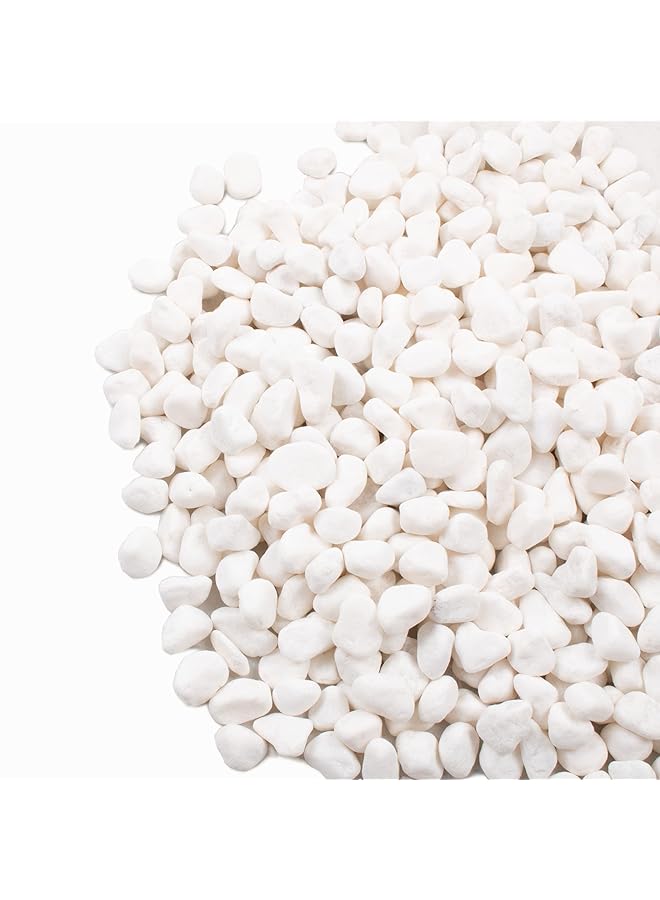 erorex White Pebbles For Plants Garden Vases 1.8Lb White Rocks Gravel Decorative Stone 1 2”…… - Image 1