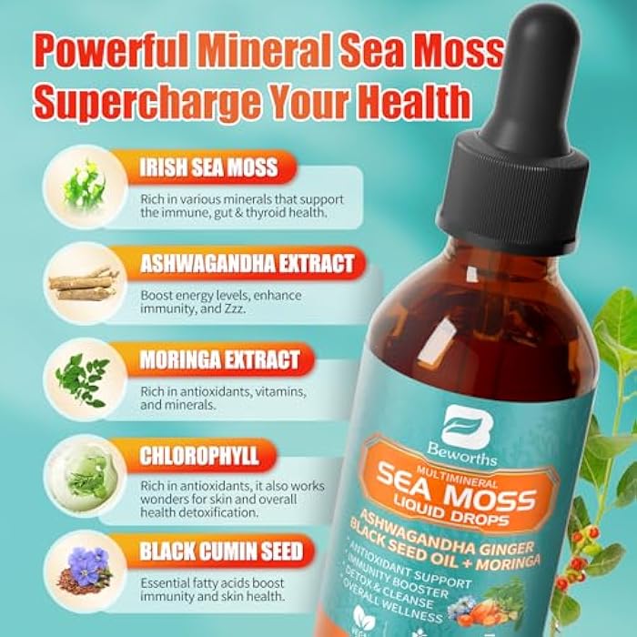 B BEWORTHS Sea Moss Drops - Irish Sea Moss Chlorophyll Liquid with Black Seed Oil, Ashwagandha, Moringa, Turmeric, Elderberry, Mullein, Seamoss Gel Supplement for Gut & Liver Cleanse, Immune Support - Vegan 2 Oz - Image 2