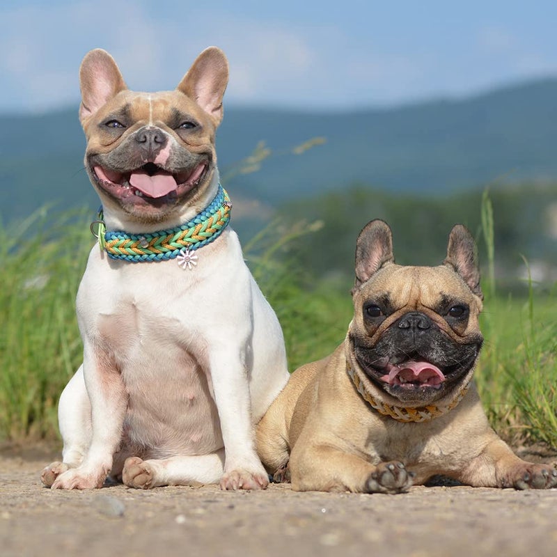 HERCULES Type III Paracord 550 Paracord Rope Parachute Cord, 50' Black for Survival Rope, Survival Cord - Image 4