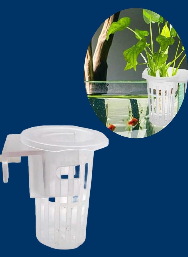 Scroll Store Aquarium Plant Cup Holder Pack of 2 | Hanging Pot Cup for Aquascaping, Aquaponic Plant Growth & Fish Tank Decoration - Image 2