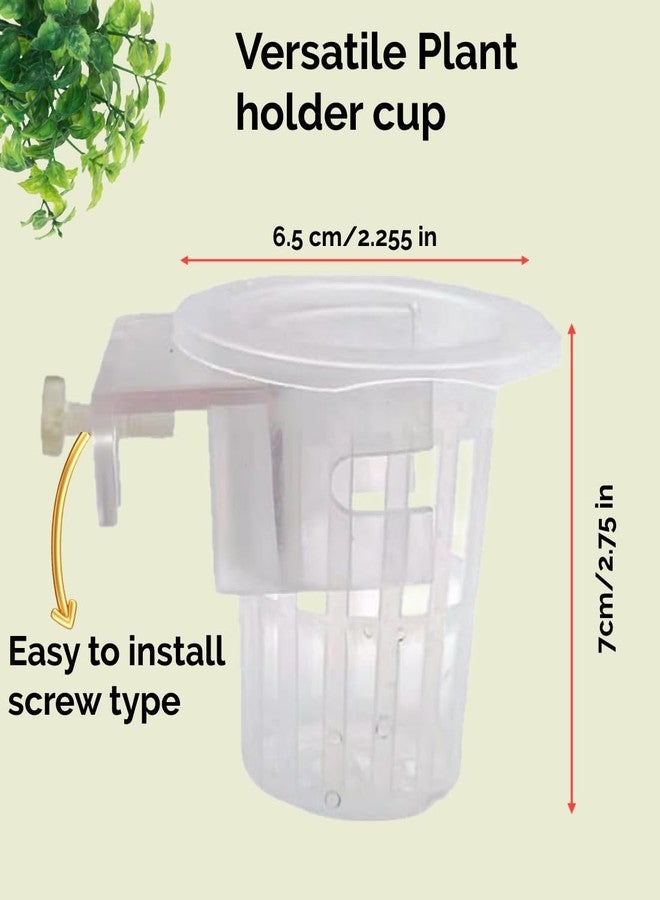 Scroll Store Aquarium Plant Cup Holder Pack of 2 | Hanging Pot Cup for Aquascaping, Aquaponic Plant Growth & Fish Tank Decoration - Image 4