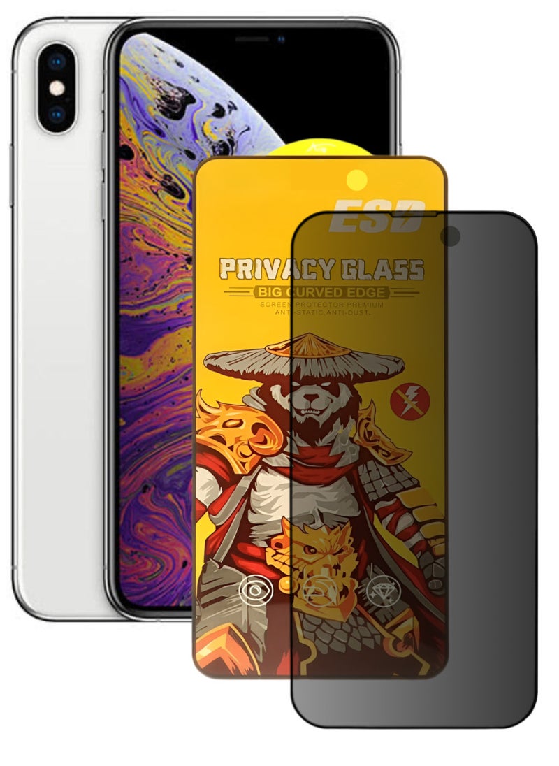 ESD Tempered Dustproof Privacy Glass Screen Protector Compatible For iPhone XS Max - Image 1