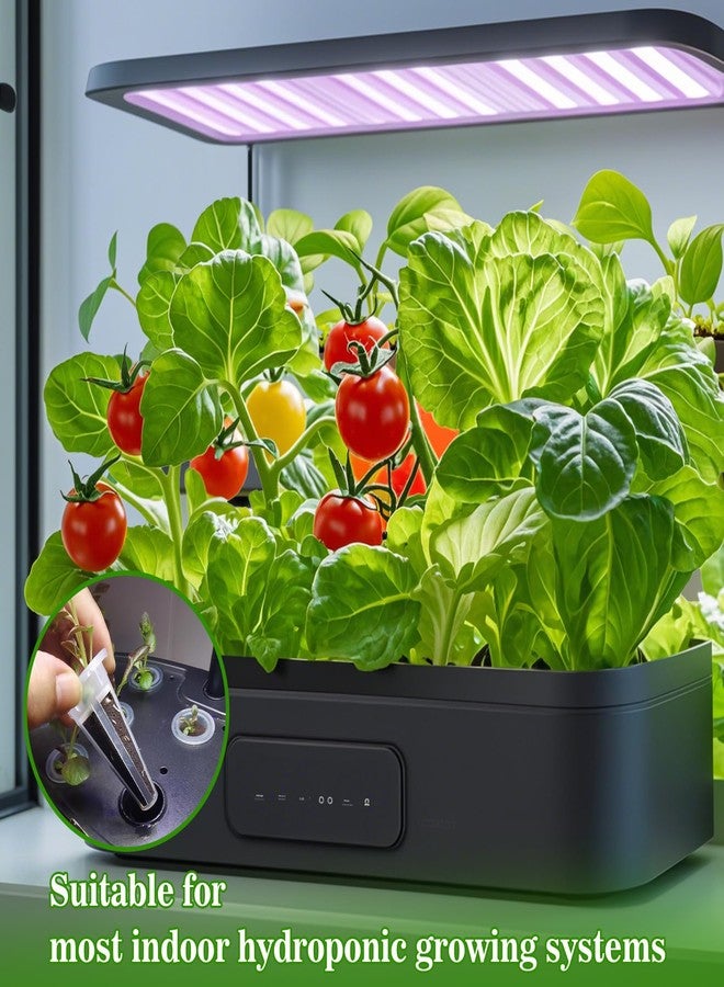 Doter 50 pcs Grow Sponges for Hydroponics Compatible with AeroGarden, Hydroponics Growing System Pods, General Hydroponics Rapid Rooter, Starter Plug for Seeds or Cuttings - Image 5