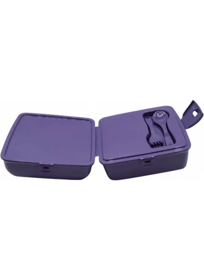 Piev 2 Compartment Lockable Frozen Lunch Box Purple with Fork and Spoon