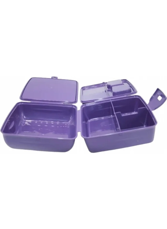 Piev 2 Compartment Lockable Frozen Lunch Box Purple with Fork and Spoon