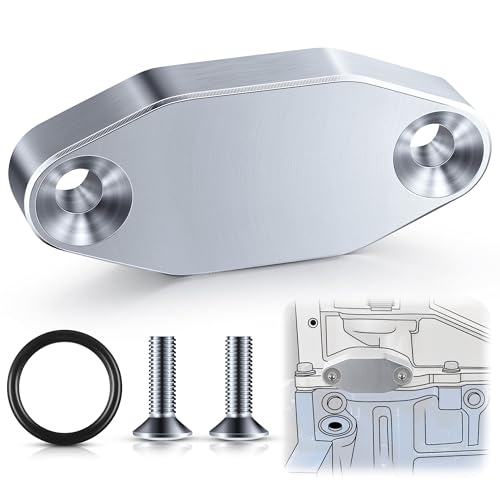 Saillong 1 Pack LS Billet Oil Cooler Block off Plate on Oil Pan LS Billet Oil Port Plate Compatible with Gen III IV Series Engines LS3 LSX LS1 LS2 LS6 L9H LQ4 LQ9 L92 48L 53L 57L 60L 62L Silver