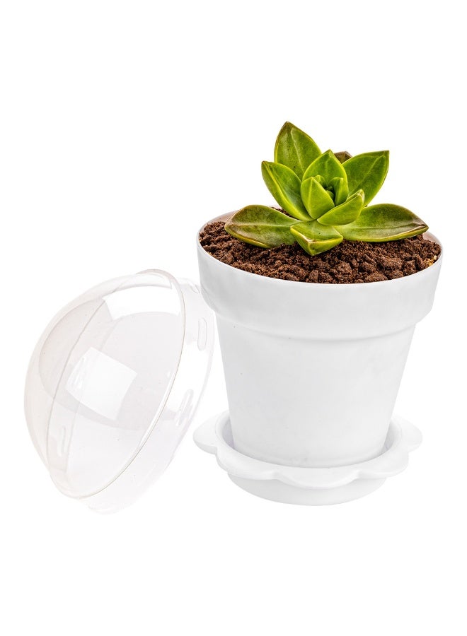 Restaurantware أكواب كعك زهور سعة 6 أونصات، 100 وعاء زهور للحلويات القابلة للاستخدام مرة واحدة - مع أغطية، مع قاعدة صحن قابلة للإزالة، حوامل كعك بلاستيكية بيضاء، للكعك، والبودينغ، والحلويات - Image 2