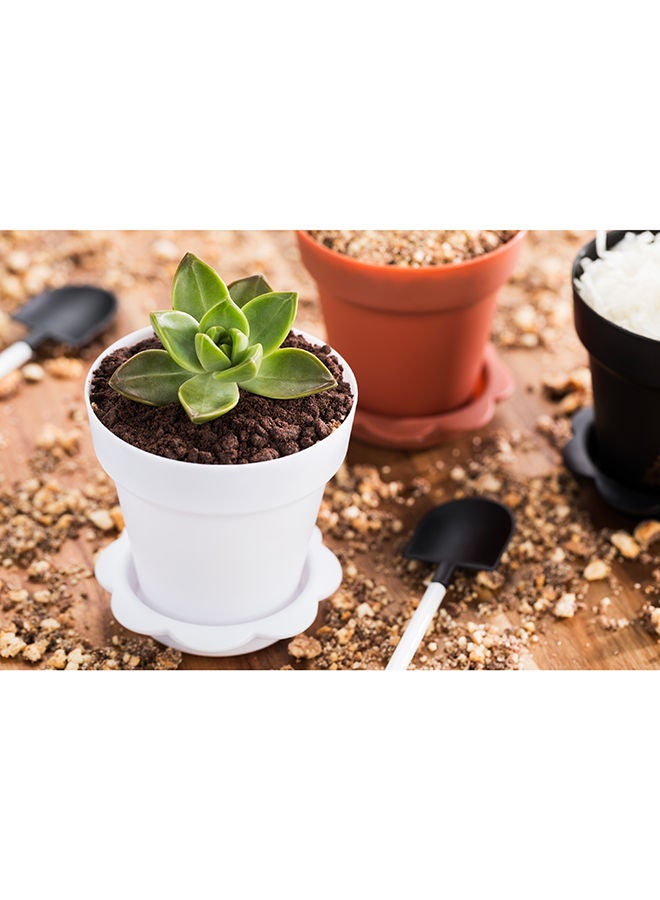 Restaurantware أكواب كعك زهور سعة 6 أونصات، 100 وعاء زهور للحلويات القابلة للاستخدام مرة واحدة - مع أغطية، مع قاعدة صحن قابلة للإزالة، حوامل كعك بلاستيكية بيضاء، للكعك، والبودينغ، والحلويات - Image 5