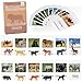 MEROCO Montessori Zoo Safari Animal Match Miniature Figurines with 2 Part Matching Cards Montessori Language Materials Preschool Learning Toy NEWTT004 - Image 3