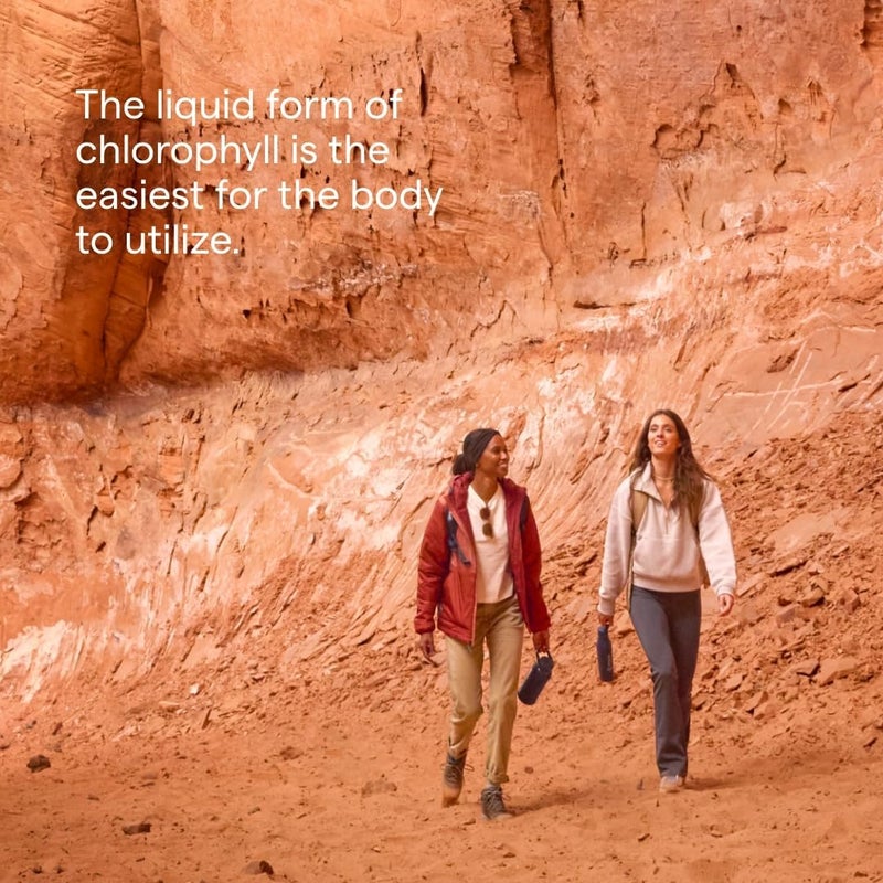 Trace Minerals Concentrated Ionic Chlorophyll  Natural Cleanse Support Health Supplement  Supplement to Support Immune System Health  Aids Digestive Health  Natural Mint 2 fl oz 120 Servings - Image 3