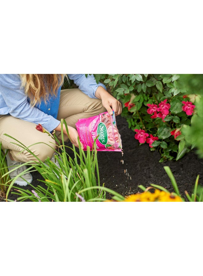 Scotts Rose & Bloom Continuous Release Plant Food, 3 lb