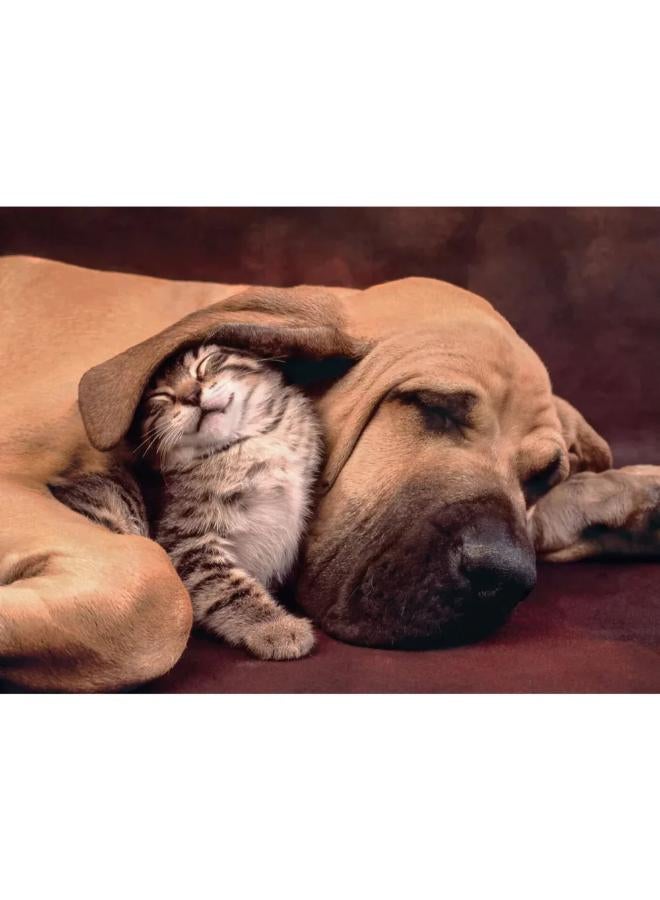 Clementoni Dog & Cat Puzzle – 500Pcs - Image 2