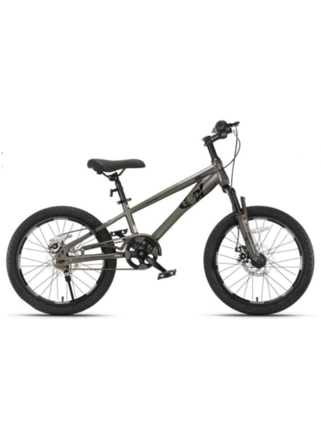 Qitong 18-Inch Bicycle, Grey