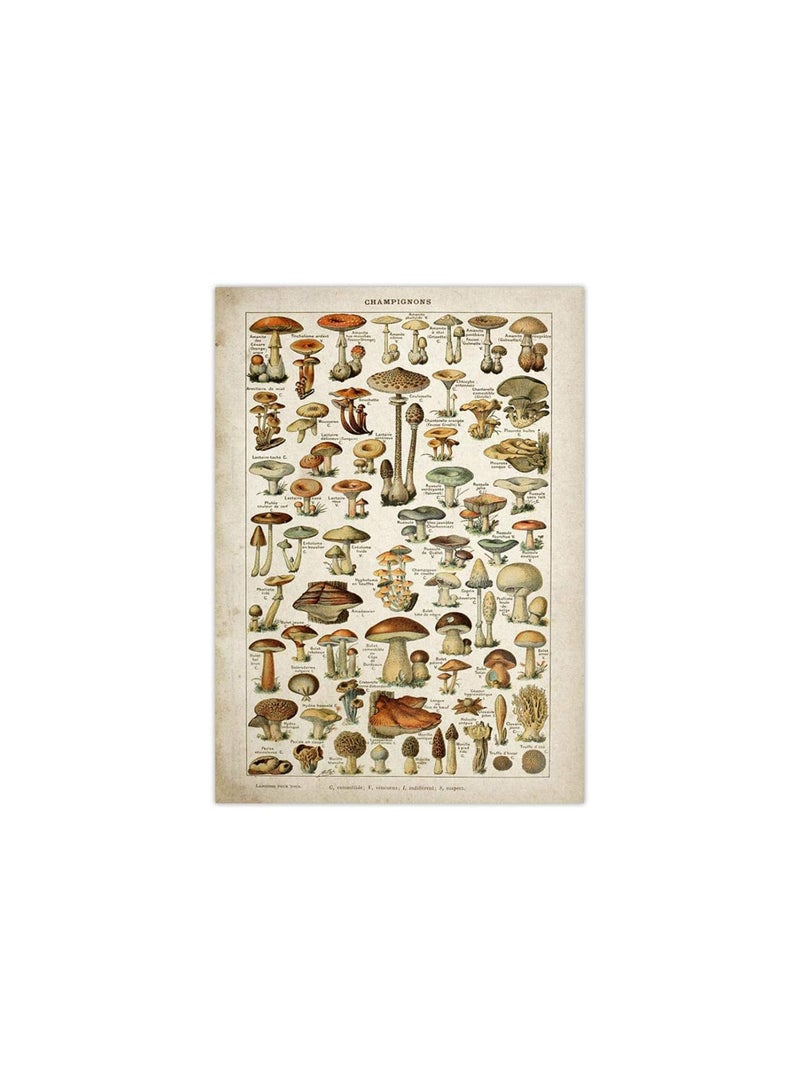 GGOOT Vintage Poster Antique Floral Canvas Print Art Botanical Educational Poster Mushroom Wall Art Home Decor Canvas Painting - Image 1