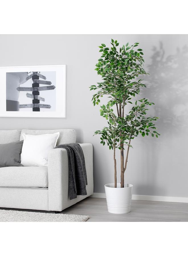 Green Tiger Artificial potted plant, in/outdoor Weeping fig, 21 cm - Image 2