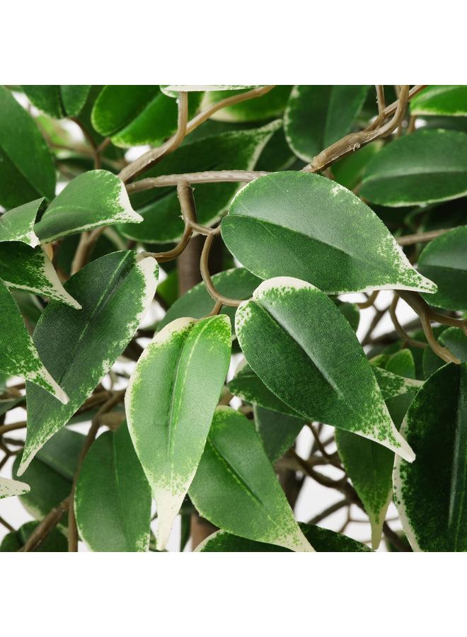 Green Tiger Artificial potted plant, in/outdoor Weeping fig, 21 cm - Image 3