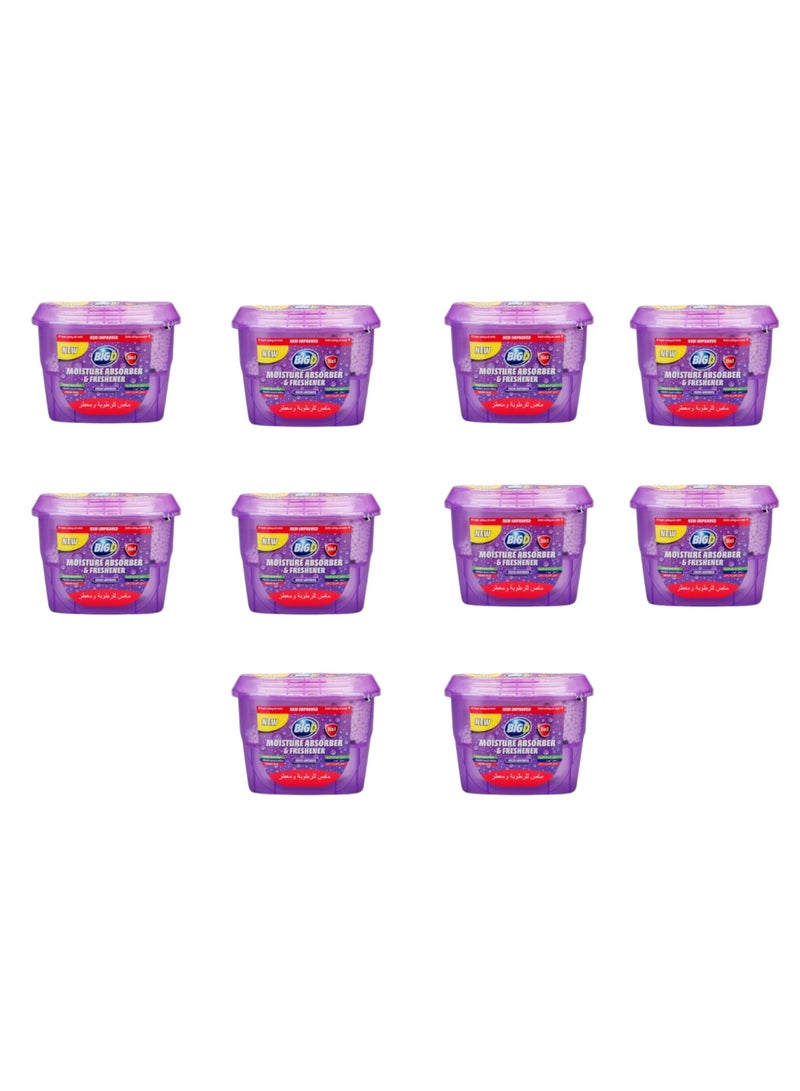 Big D Moisture Absorber & Freshener Lavender – Pack of 10 | Long-Lasting Odor & Moisture Control