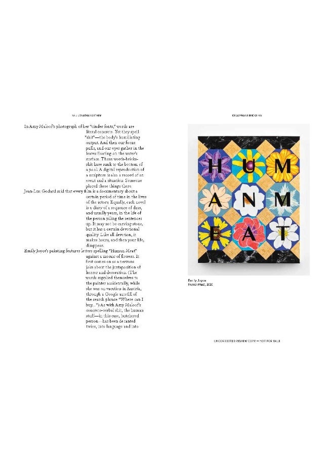 null - Cellophane Bricks: A Life in Visual Culture - Image 1