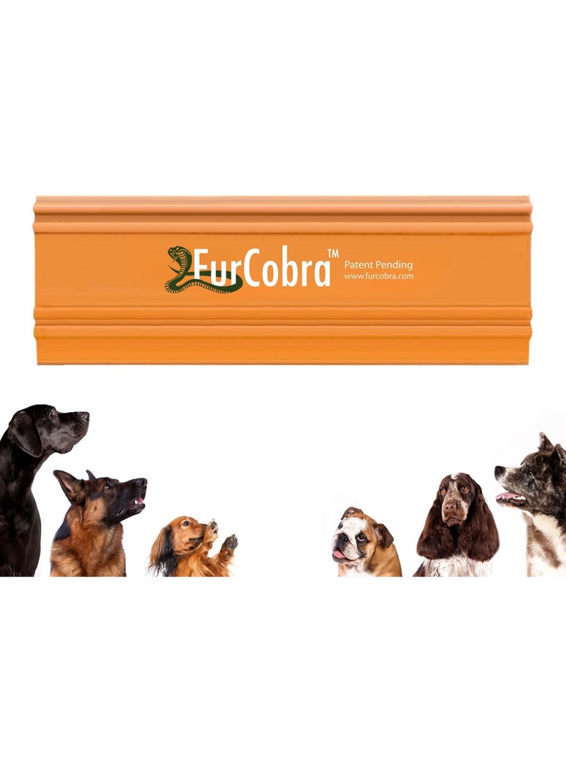 FURCOBRA Pro Pet Hair Remover - Easy Grip Pet Hair Carpet Scraper, Pet Hair Removal Tool - Cat Hair Remover, Dog Hair Remover for Couch, Car, Sofa, Carpet - Light & Compact Fur Remover Tool - Image 1