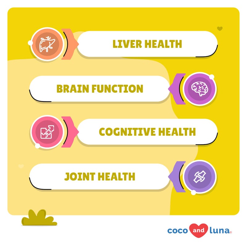 Coco and Luna Same for Dogs - 120 Chewable Tablets - S-Adenosyl-L-Methionine, Liver Supplement - Brain Health, Promotes Cognitive Support, Liver Support (Same Tablet) - Image 3
