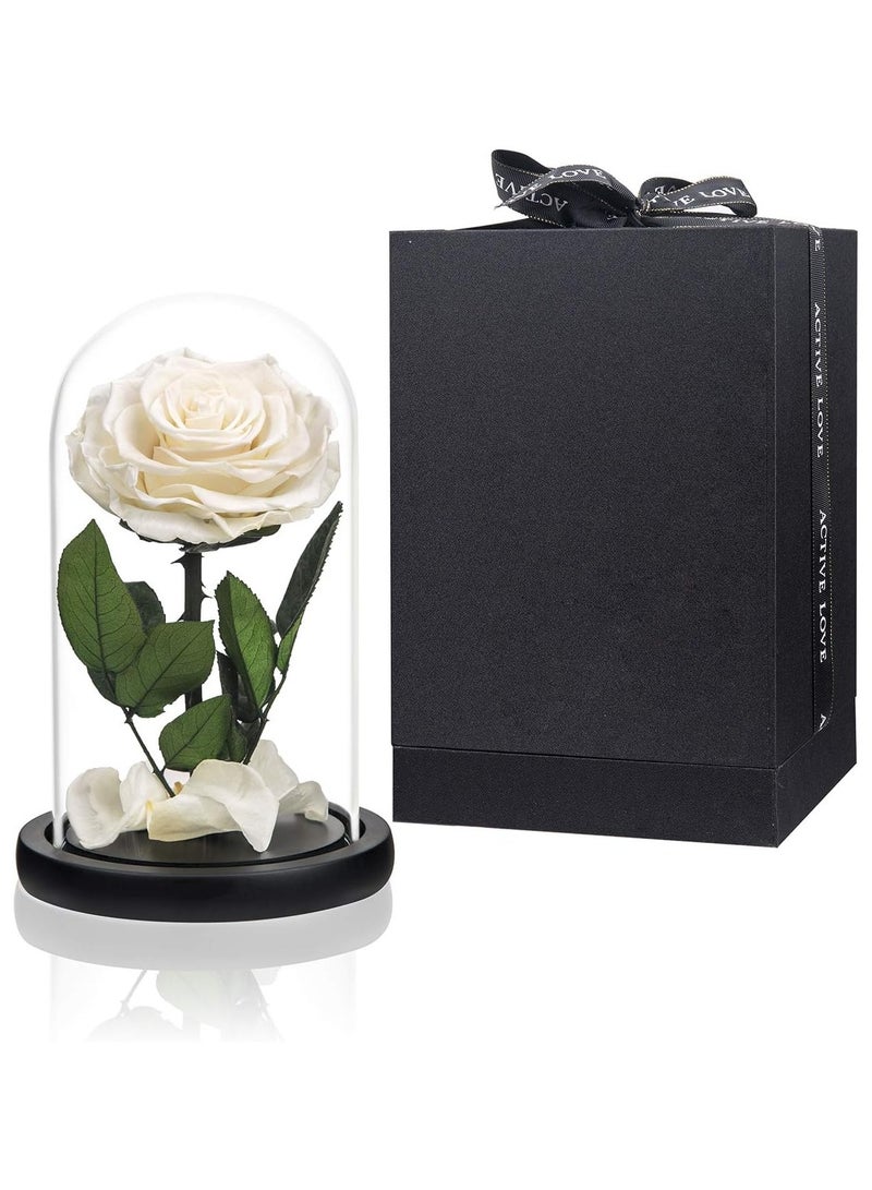 Scrolls Handmade Preserved Rose Forever Never Withered Flowers,Gift for Wedding,Anniversary,Birthday, Mother's Day Gift, Best Gift for Her Rose (Single Rose, White) 14x22cm - Image 1