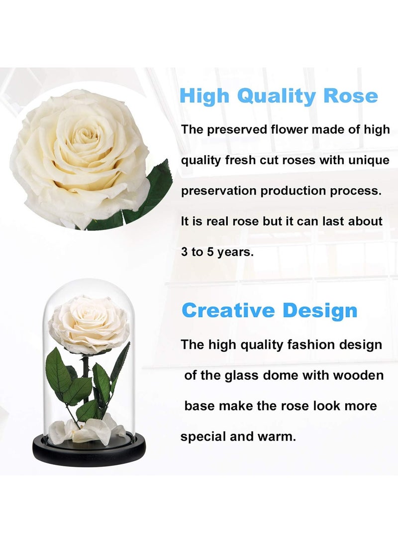 Scrolls Handmade Preserved Rose Forever Never Withered Flowers,Gift for Wedding,Anniversary,Birthday, Mother's Day Gift, Best Gift for Her Rose (Single Rose, White) 14x22cm - Image 3