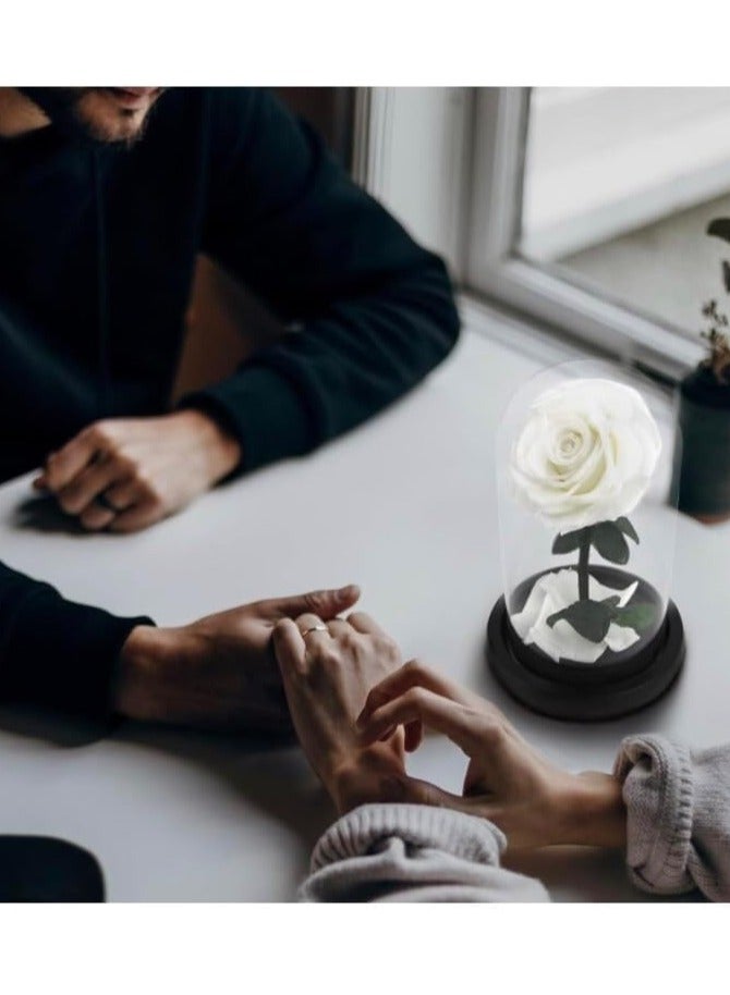 Scrolls Handmade Preserved Rose Forever Never Withered Flowers,Gift for Wedding,Anniversary,Birthday, Mother's Day Gift, Best Gift for Her Rose (Single Rose, White) 14x22cm - Image 4