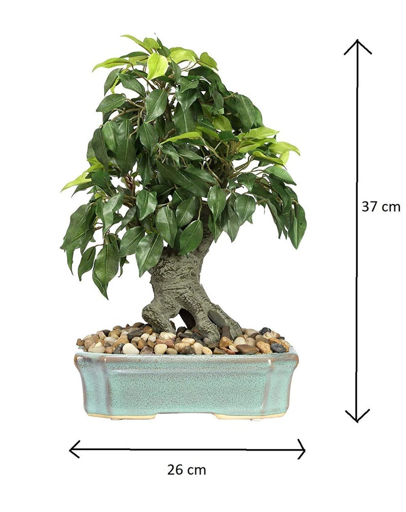 Fourwalls Artificial Ficus Bonsai Plant in a Ceramic Vase for Home and Office Decor (247 Leafs, 37 cm Tall, Mixed Material, Green) - Image 3